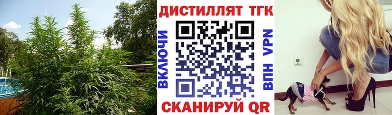 Купить где  Белая Холуница  Дистиллят ТГК вейп 