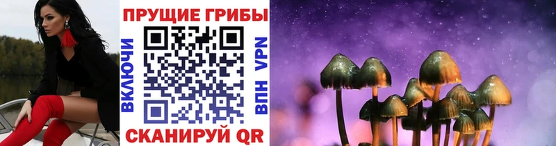 Купить закладки  Белая Холуница  Галлюциногенные грибы прущие грибы 